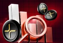 لماذا انخفض سعر XRP اليوم؟