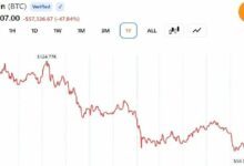 بيتكوين تهبط 50%، لكن Cryptoquant تؤكد أن قمة الدورة لم تحدث بعد