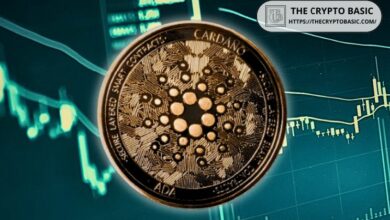 مؤسسة كاردانو تلمح إلى تعميق التعاون مع Open USD، وتؤكد: "نستكشف خيارات تكامل أخرى"