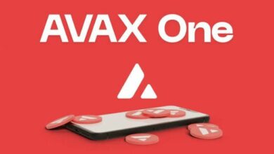 جولي كان، الرئيس التنفيذي لـ AVAX One، يستقيل بعد أيام من تحذير انهيار السوق