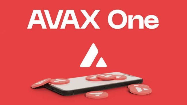 جولي كان، الرئيس التنفيذي لـ AVAX One، يستقيل بعد أيام من تحذير انهيار السوق