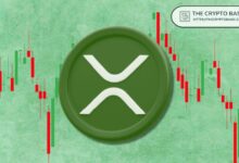 **XRP بين لحظة حاسمة: إشارات صعودية تتصادم مع بيع الحيتان**