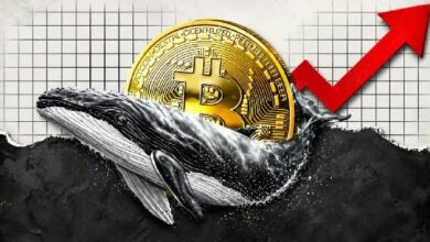الحيتان تتحدى التقلبات وتجمع البيتكوين بهدوء بخصم 17%