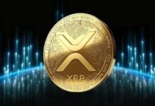 **XRP يحافظ على 1.11 دولار مع تحول تدفقات صناديق الاستثمار المتداولة إلى السلبية لأول مرة منذ مايو**