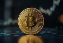 شركة ميتابلانيت اليابانية تواصل توسيع استثماراتها في البيتكوين (BTC) كم بيتكوين اشترت؟ إليكم التفاصيل