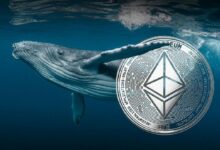 محفظة إيثريوم خاملة تستيقظ بعد 11 عاماً