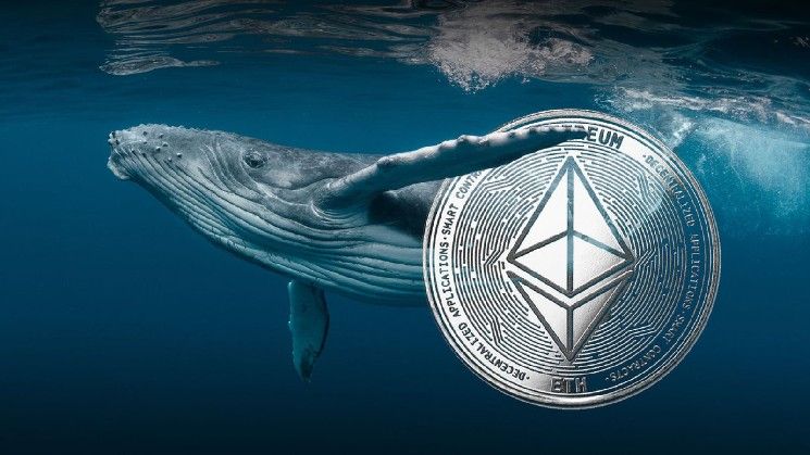 محفظة إيثريوم خاملة تستيقظ بعد 11 عاماً