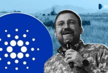 كيف تعزز كاردانو الشمول المالي في الدول النامية؟