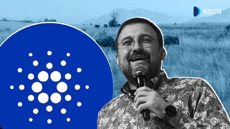 كيف تعزز كاردانو الشمول المالي في الدول النامية؟