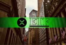 صناديق Ripple (XRP) المتداولة تستأنف موجة التدفقات، لكن هناك مشكلة كبرى في الغرفة
