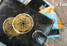 كاردانو ترتفع بهدوء بنسبة 32% مع انضمام 14,783 محفظة ADA جديدة إلى الشبكة