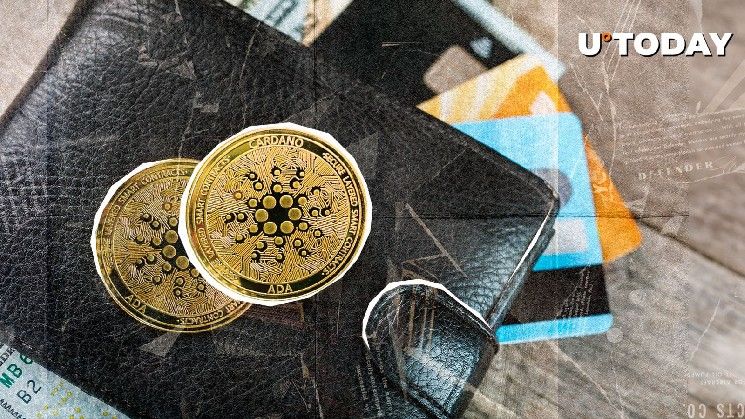 كاردانو ترتفع بهدوء بنسبة 32% مع انضمام 14,783 محفظة ADA جديدة إلى الشبكة