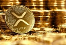 إشارة خفية من بيانات بينانس توجه مسار XRP