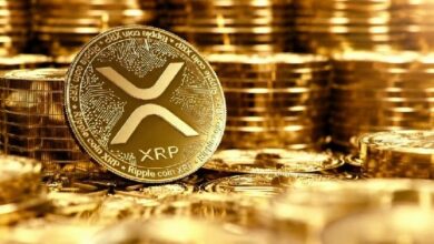 إشارة خفية من بيانات بينانس توجه مسار XRP