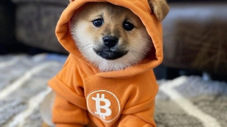 معركة البيتكوين ضد البريد العشوائي تتلقى ردًا بـ'وضع DOG'