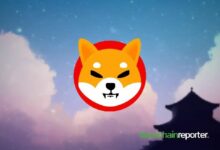 ارتفاع SHIB بنسبة 37% يتبخر مع إظهار بيانات السلسلة إغراق الحيتان في موجة FOMO التجزئة