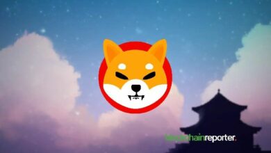 ارتفاع SHIB بنسبة 37% يتبخر مع إظهار بيانات السلسلة إغراق الحيتان في موجة FOMO التجزئة