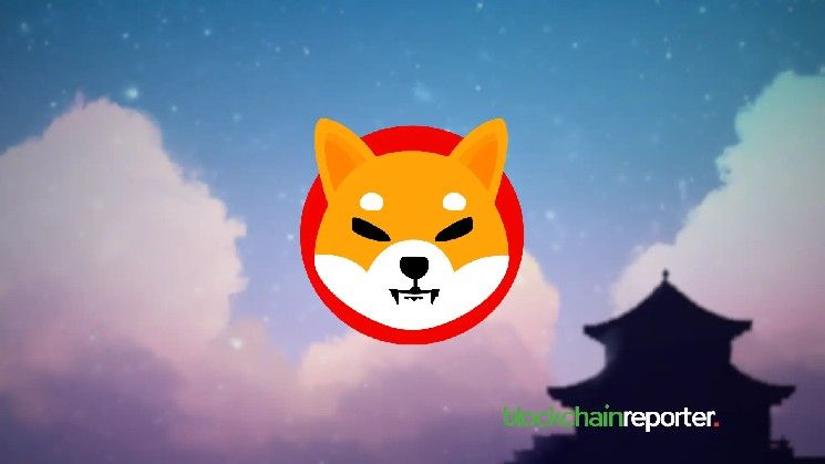 ارتفاع SHIB بنسبة 37% يتبخر مع إظهار بيانات السلسلة إغراق الحيتان في موجة FOMO التجزئة