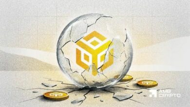عنوان مترجم: خسارة 226 ألف دولار من BNB! كيف أصبح بروتوكول أمان BFB العدو الأكبر لنفسه