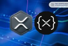 زيادة نشاط المطورين على دفتر حسابات XRP مع ارتفاع المعاملات المرتبطة بالتطبيقات