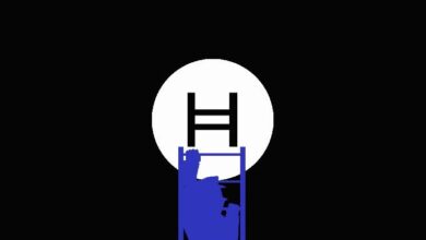 تحديث أوراكل سوبرا على 11 شبكة أخرى قبل اختراق هيديرا بقيمة 9 ملايين دولار