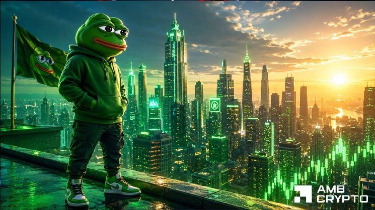 بيبي يتفوق على دوج لكنه يخلف بونك – الحقيقة وراء ارتفاع 14%