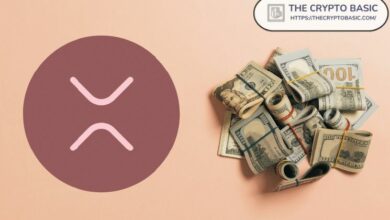 اعتماد التجزئة يرتفع مع وصول محافظ XRP التي تحمل من 1,000 إلى 100,000 رمز إلى أعلى مستوى تاريخي فوق 1.12 مليون