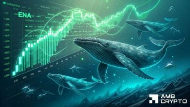 تقييم السعر المستهدف لـ ENA بعد تمديد صعود إيثينا عقب إدراجها في كوين بيز
