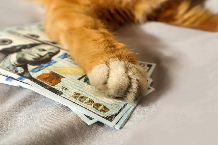 هل حوت عملة Cashcat (CASHCAT) الأكثر ربحية من الداخل؟ 90% من مبيعاته تحققت بتوقيت مثالي