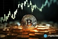 ما هو السعر المحقق؟ أساس التكلفة على السلسلة للبيتكوين