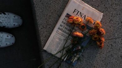 سولانا تعلن عن هبة بقيمة 100 ألف دولار — ما الذي قد يفتحه هذا؟