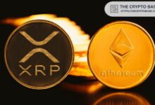 **تقرير: غياب XRP Ledger عن بيانات العملات المستقرة مع هيمنة إيثريوم وترون بـ81%**
