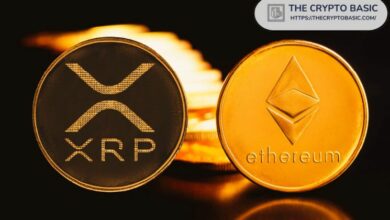 **تقرير: غياب XRP Ledger عن بيانات العملات المستقرة مع هيمنة إيثريوم وترون بـ81%**