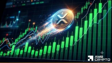 كل ما تريد معرفته عن إشارة الصعود على غرار 2024 في سعر XRP وما تعنيه الآن