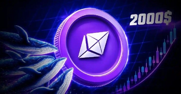 سعر إيثريوم يشهد ارتفاعًا مفاجئًا: إليك ما يقف وراء ذلك