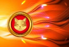 شيبا إينو (SHIB) تسجل ارتفاعًا في معدل الانكماش بنسبة 5,223% في يوم واحد، ومئات الملايين من الرموز تُحرق للأبد
