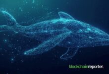نشاط حيتان EigenLayer يرتفع رغم استقرار سعر EIGEN