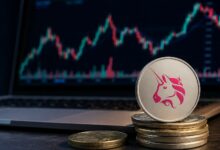 توقعات سعر Uniswap: هل يمكن لـ UNI اختراق 3.58 دولار قبل التصويت الحاسم على الحوكمة؟