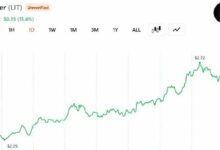 متداول يحوّل 2 مليون دولار من ETH إلى 14,208 دولارًا مع ارتفاع عملة Lighter بنسبة 53%