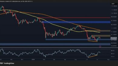 تحليل سعر البيتكوين: هل تجاوزت عملة BTC منطقة الخطر بعد قفزة 64 ألف دولار؟