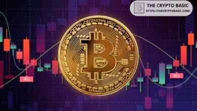 بيانات السلسلة تكشف: إشارة قاع البيتكوين لم تظهر بعد، وانهيار كبير في السعر ما زال قادمًا