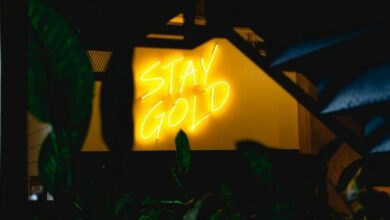 **انضمام frxUSD من Frax إلى Curve Finance على Polygon: هل هو تغيير جذري؟**