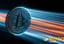 شركة زي باو للتكنولوجيا المدرجة في ناسداك تستهدف الحصول على 3,500 بيتكوين عبر تمويل خاص (PIPE)