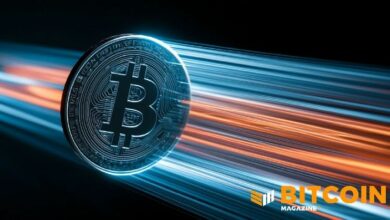 شركة زي باو للتكنولوجيا المدرجة في ناسداك تستهدف الحصول على 3,500 بيتكوين عبر تمويل خاص (PIPE)