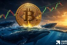 الطلب على البيتكوين يتزايد بعد سحب حوت بقيمة 198 مليون دولار – هل يصل السعر إلى 70 ألف دولار؟