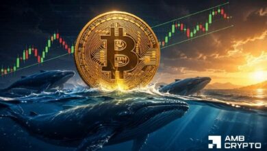 الطلب على البيتكوين يتزايد بعد سحب حوت بقيمة 198 مليون دولار – هل يصل السعر إلى 70 ألف دولار؟