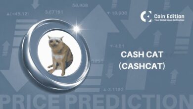 توقعات سعر عملة كاش كات (CASHCAT): هل قفزة الاهتمام المفتوح بنسبة 355% بداية صعود أم قمة السوق؟