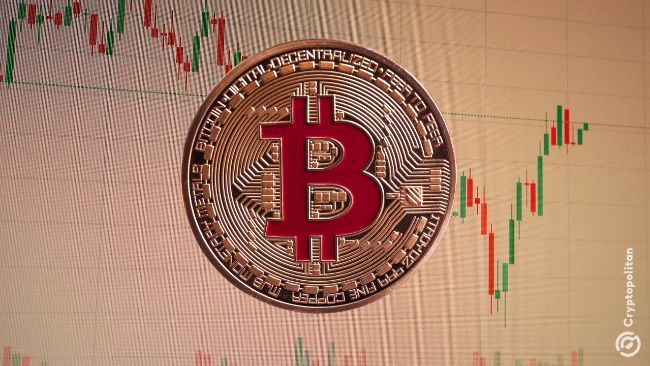 "Dormant Bitcoin Awakenings Hit Lowest Level Since 2022, Galaxy Reports" **Arabic:** صحوة البيتكوين الخامدة تتراجع إلى أدنى مستوى منذ 2022، حسب تقرير جالاكسي