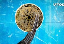 بينانس وكوينباس جاهزتان لتحديث كبير لشبكة كاردانو