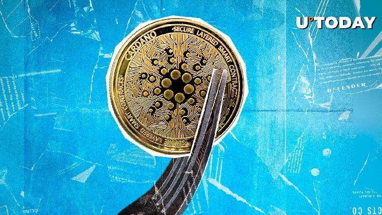 بينانس وكوينباس جاهزتان لتحديث كبير لشبكة كاردانو